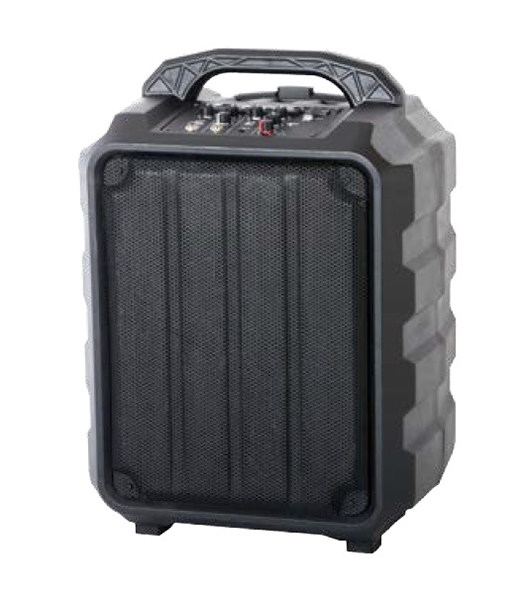 Leem PR-6 Акустическая система