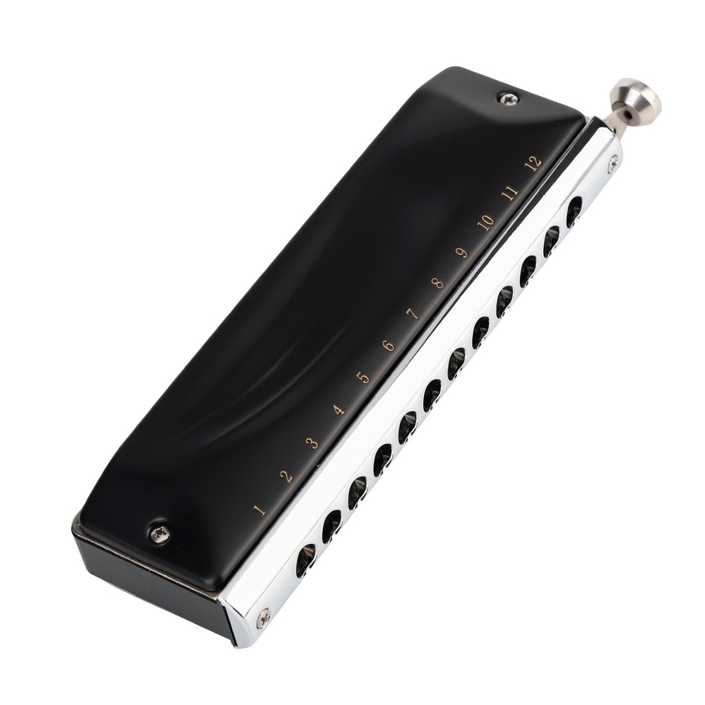 JDR GM0648BK Pro Губная гармошка