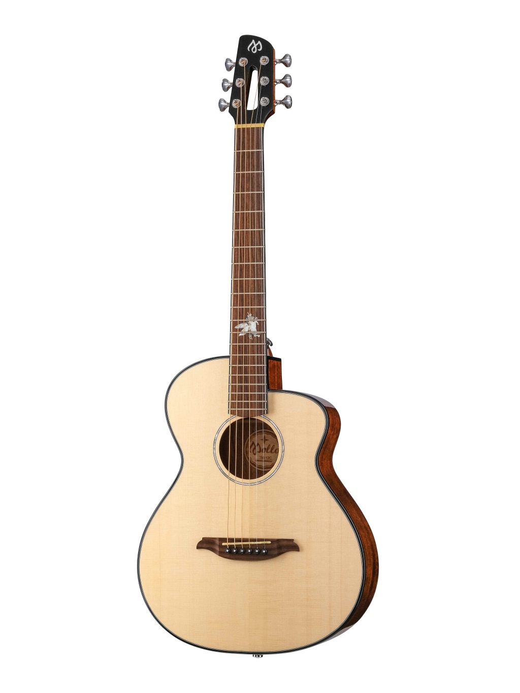 Mollo Guitar TM-12C Акустическая гитара