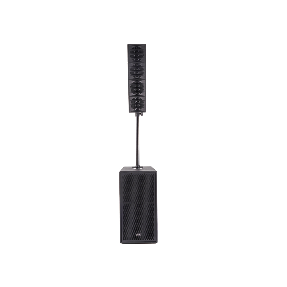 Soundking P212 P Series Акустическая система