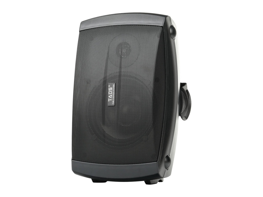 TADS DS-854-BLACK Громкоговоритель настенный