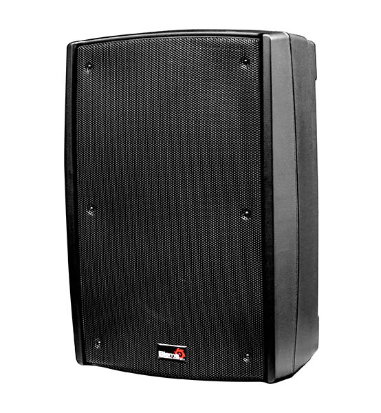 Biema B2-112-power Активная акустическая система