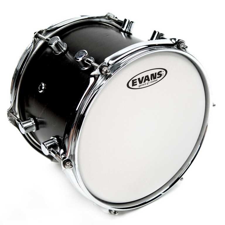 Evans B14G1 G1 Coated Пластик для малого