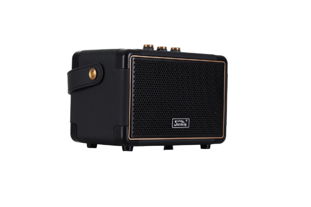 Soundking K65 Комбоусилитель гитарный