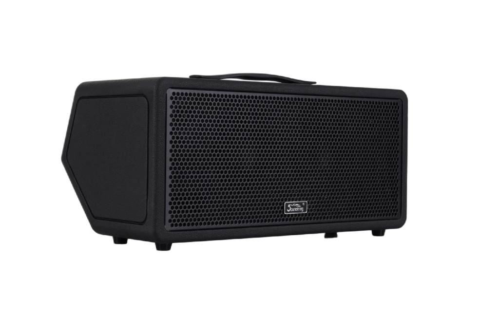 Soundking K100-Soundking Комбоусилитель гитарный