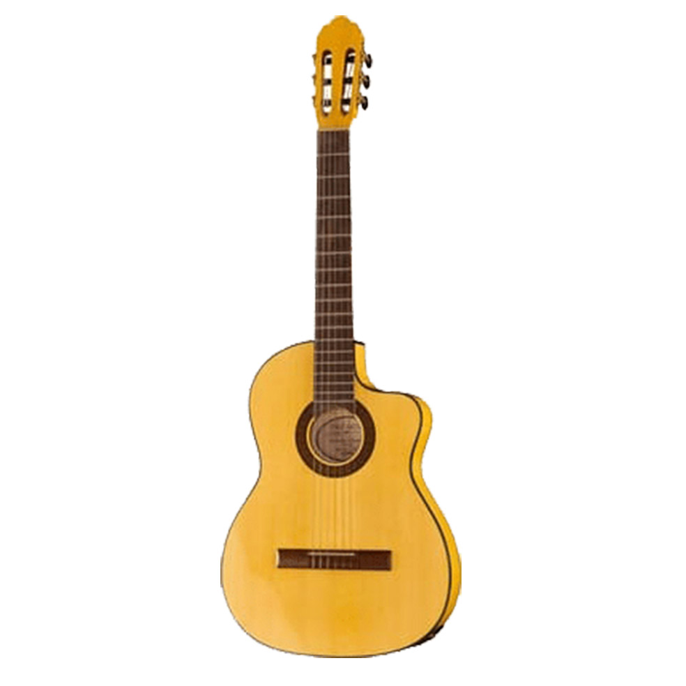 Hora N1105CTW Flamenco CTW Классическая гитара 4/4