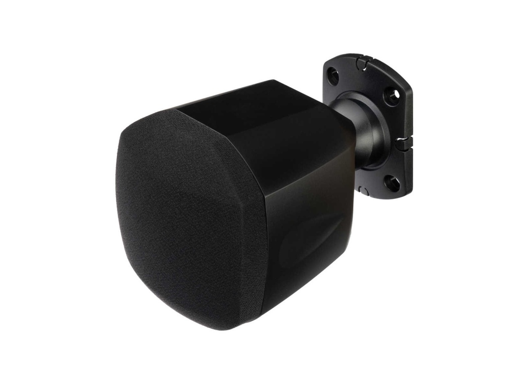 LAudio LASS10L Настенный громкоговоритель