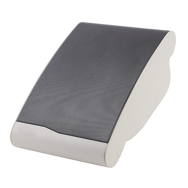LAudio LASW610 Настенный громкоговоритель