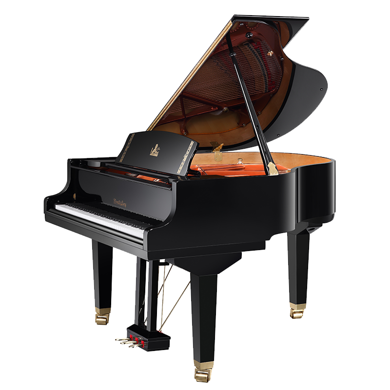 Wendl&Lung W152BK Рояль акустический