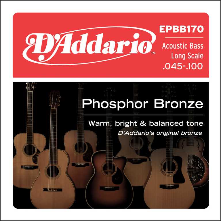 D'Addario EPBB170 Phosphor Bronze Комплект струн для акустической бас-гитары