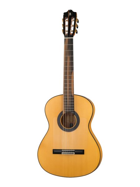 Alhambra 8.896 Green Sustain Flamenco Классическая гитара