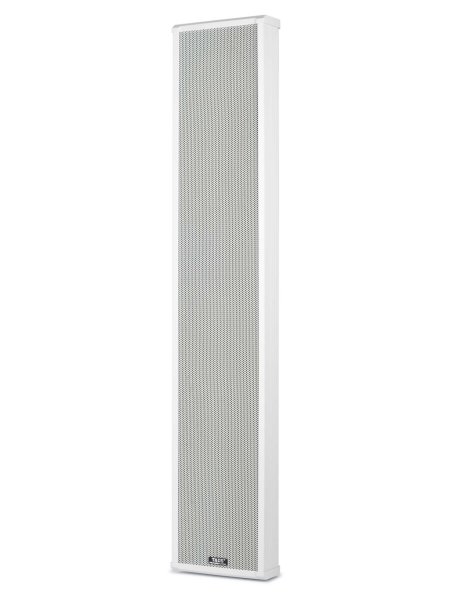 TADS DS-100F Акустическая система