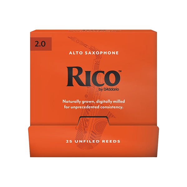 D'Addario Woodwinds Rico RJA0120-B25 Rico Трости для саксофона альт