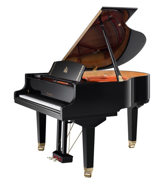 Wendl&Lung W162BK Рояль акустический