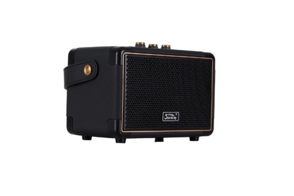 Soundking K65 Комбоусилитель гитарный