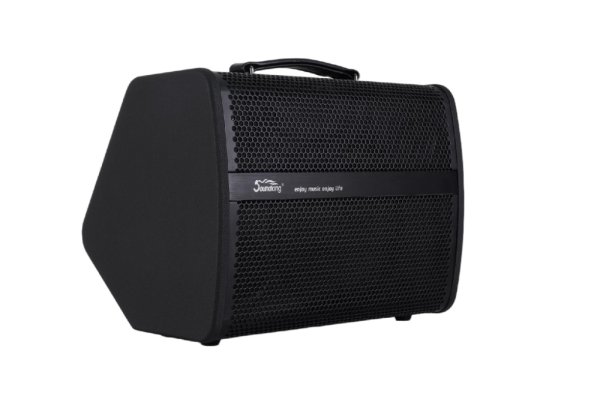 Soundking K240 Комбоусилитель гитарный