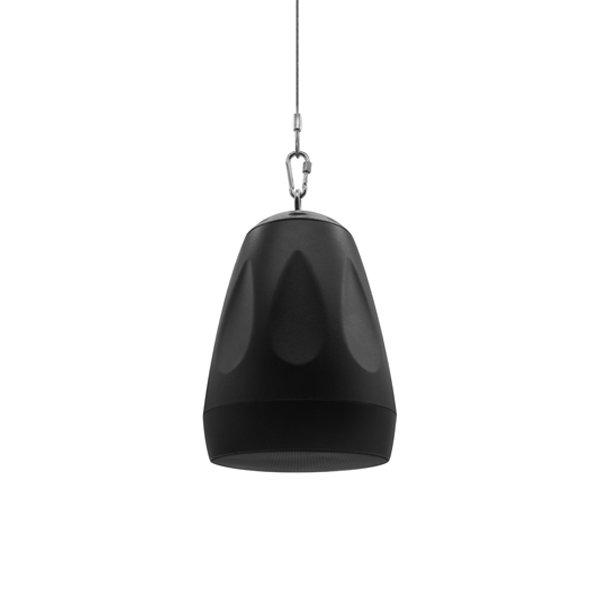 DSPPA DSP4053P Настенный/подвесной громкоговоритель