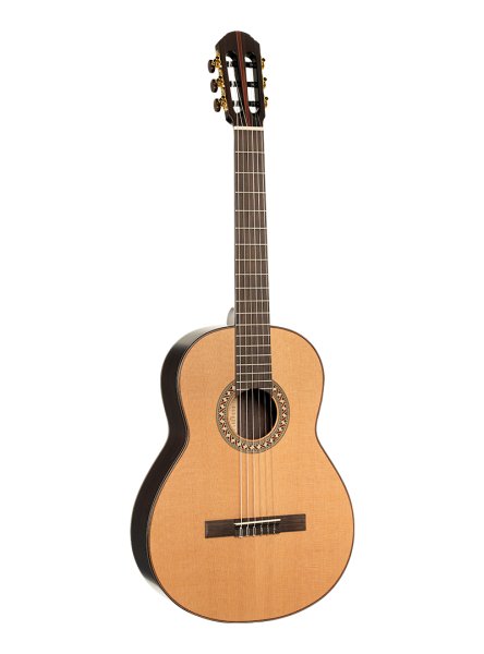 Parkwood CL400-NSG-wcase Классическая гитара
