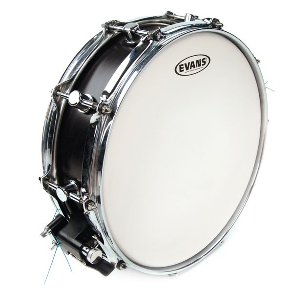Evans B13G1RD Power Center Reverse Dot Пластик для малого барабана 13''