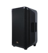 Soundking Y12P Акустическая система