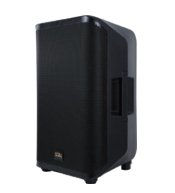 Soundking Y15P Акустическая система