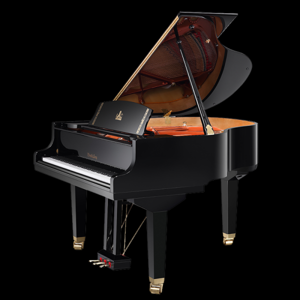 Wendl&Lung W152BK Рояль акустический