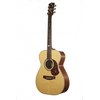 Гитара Maton EBG808TE