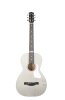 047956 Rialto JR Satina Gray HG Q-Discrete Электро-акустическая гитара, с чехлом, Godin