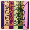 Pirastro 219025 Passione Violin Комплект струн для скрипки (жила)