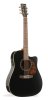 028054 Protege B18 CW Cedar Black Электро-акустическая гитара, Norman