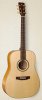 025152 Showcase Flame Maple DLX TRIC Акустическая гитара, с футляром, Simon & Patrick