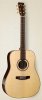 025213 Showcase Rosewood DLX TRIC Акустическая гитара, с футляром, Simon & Patrick