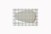 Мозеръ P06 Медиатор капролоновый для домры малой 2мм /images/product_images/info_images/206484_0.jpg