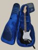 Мозеръ MBE-PS Чехол под кофр для электрогитары /images/product_images/info_images/209007_0.jpg