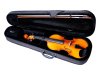 Mirra VB-310-4/4 Скрипка 4/4 в футляре со смычком