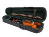 Fleet FLT-VP1/4 Скрипка в комплекте Fleet