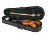 Fleet FLT-VP1/8 Скрипка в комплекте Fleet