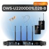 Октава OWS-U2200D01L02В-B Двухканальная радиосистема