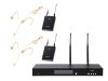 LAudio RWS-2BHS Беспроводная микрофонная система